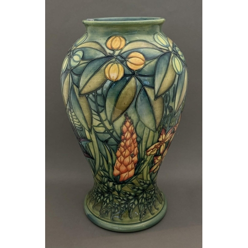 557 - Ceramics: Ceramics: A Moorcroft Pottery baluster vase in the Rain Forest pattern, limited edition 14... 