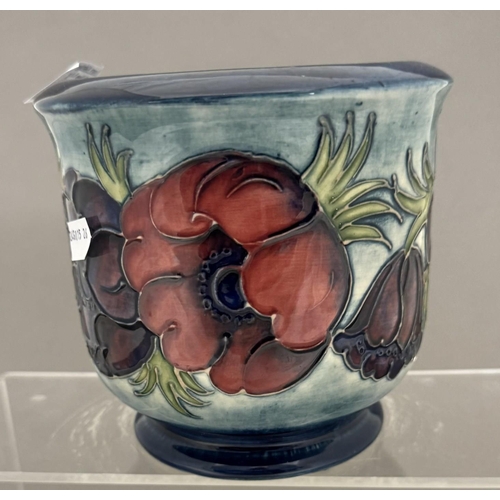 580 - Ceramics: Ceramics: A Moorcroft Pottery planter painted with the Anemone pattern to a pale blue grou... 