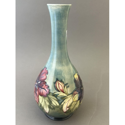 597 - Ceramics: Ceramics: A Moorcroft Pottery Hibiscus Pattern baluster vase, to a pale blue ground. Impre... 