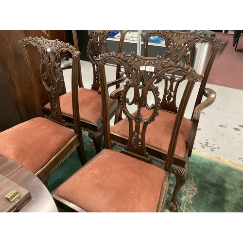 117 - Furniture: Early 20th cent. Mahogany dining chairs in the Chippendale style heavily carved with drop... 