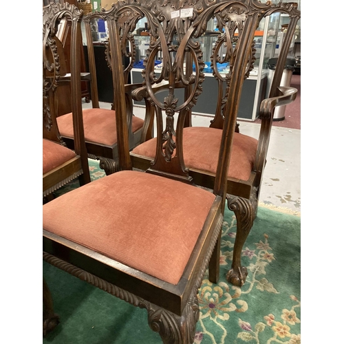 117 - Furniture: Early 20th cent. Mahogany dining chairs in the Chippendale style heavily carved with drop... 