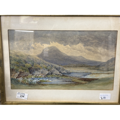 239 - Fraser Selby: Fraser Selby: Watercolour a valley stream in North Wales together with another waterco... 