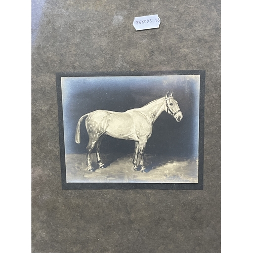 247 - Art: Art: A pen and ink study of a horse, titled 'Loyalty', signed AH Coates; together with another ... 