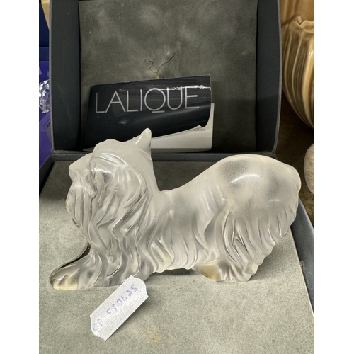 296 - Glass: Glass: Lalique 'Super Boy, Yorkshire Terrier' #11747.CONDITION: new in original box 10cms.... 