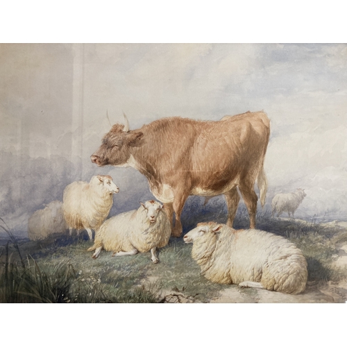 274 - Art: Follower of Thomas Sydney Cooper watercolour, a cow and sheep in a landscape, gilt framed under... 