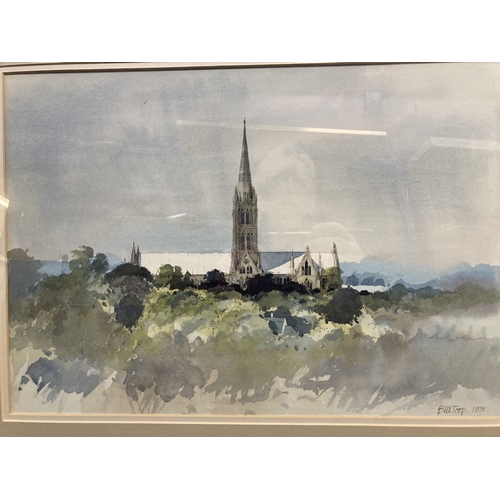 306a - Picture: Bill Toop British School 20th cent. watercolour. A view of Salisbury Cathedral, signed lowe... 