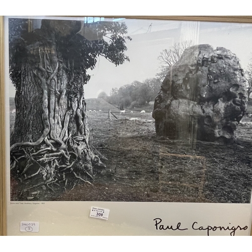 308 - Photographs: Paul Caponigro (1932-2024) Black and white landscape photo of Avebury stones dated 1963... 