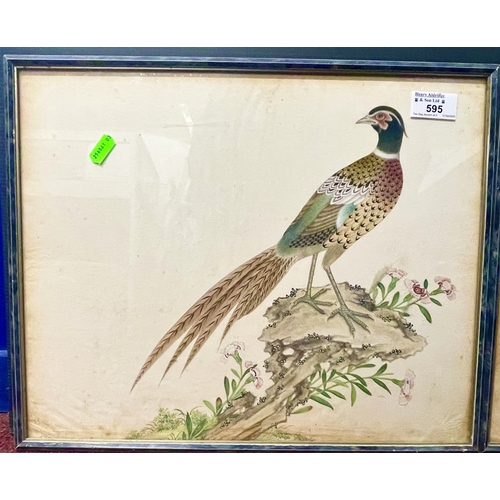 595 - Artwork: An early 19th century Chinese watercolour of a golden pheasant, walking next to a plant, fr... 