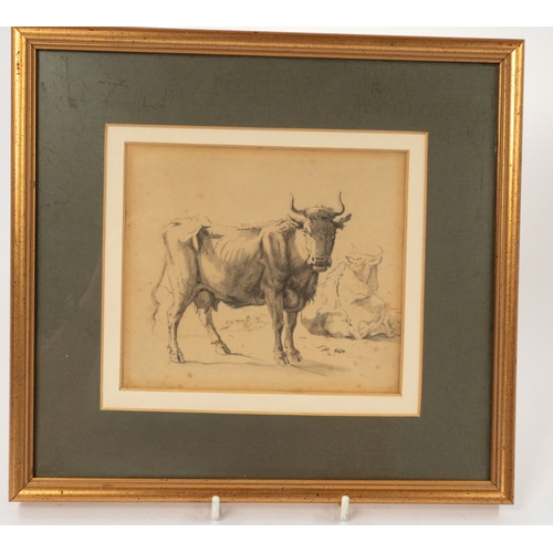 Lot 13        