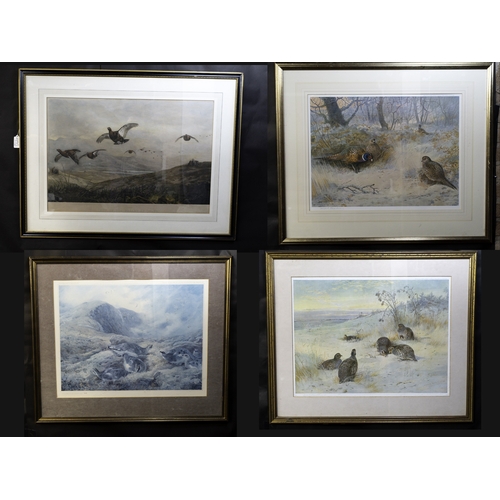 Lot 21        
