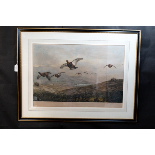 21 - Pictures Four prints of Archibald Thorburn watercolours of game birds, including pheasants and partr... 