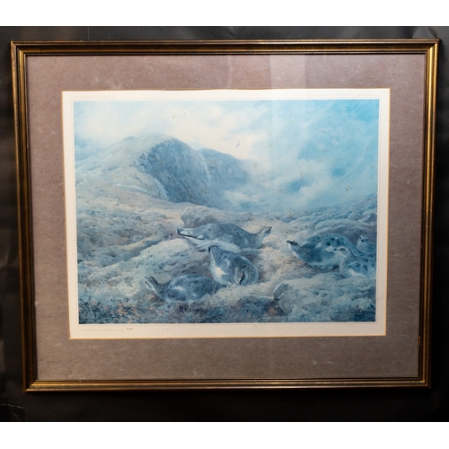 21 - Pictures Four prints of Archibald Thorburn watercolours of game birds, including pheasants and partr... 