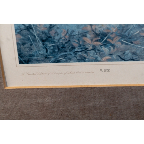 21 - Pictures Four prints of Archibald Thorburn watercolours of game birds, including pheasants and partr... 