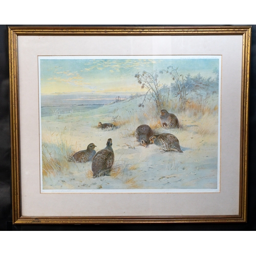 21 - Pictures Four prints of Archibald Thorburn watercolours of game birds, including pheasants and partr... 