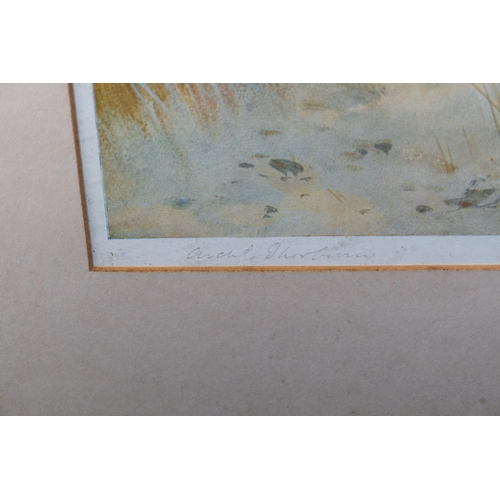 21 - Pictures Four prints of Archibald Thorburn watercolours of game birds, including pheasants and partr... 