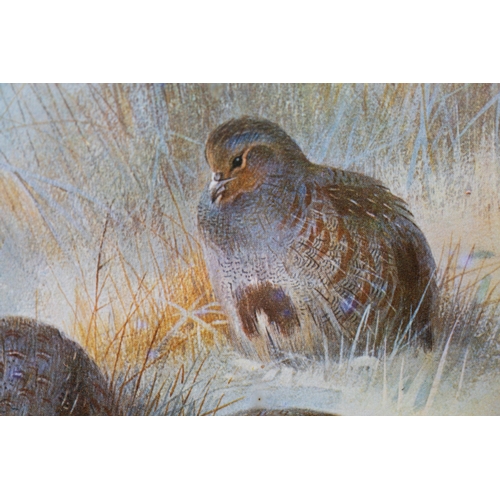 21 - Pictures Four prints of Archibald Thorburn watercolours of game birds, including pheasants and partr... 