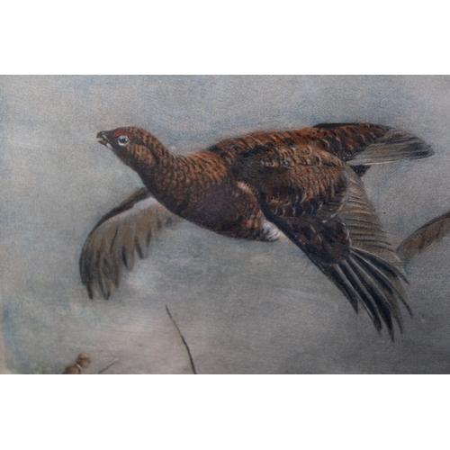 21 - Pictures Four prints of Archibald Thorburn watercolours of game birds, including pheasants and partr... 