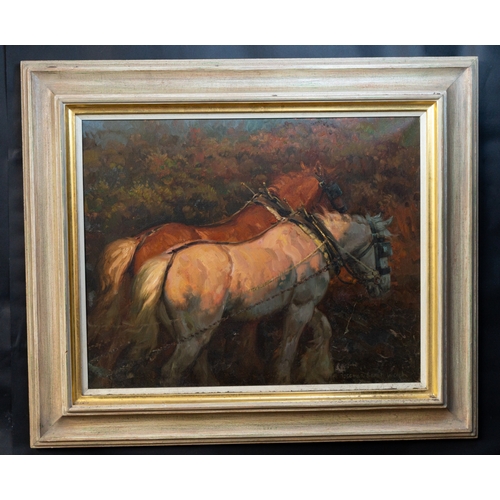 Lot 26        
