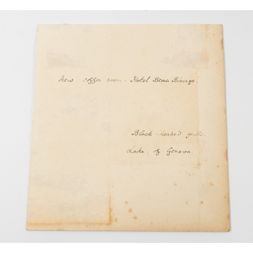 38 - Polar Exploration: Polar Exploration: Original photograph of the Terra Nova and fragment album page ... 