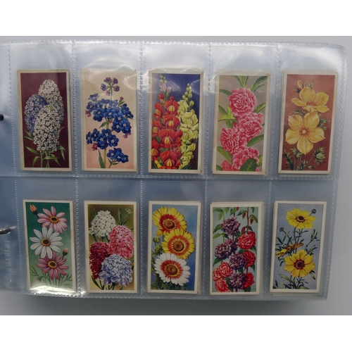 117 - A collection of Trade and Cigarette cards collected on a Horticultural theme, including many complet... 