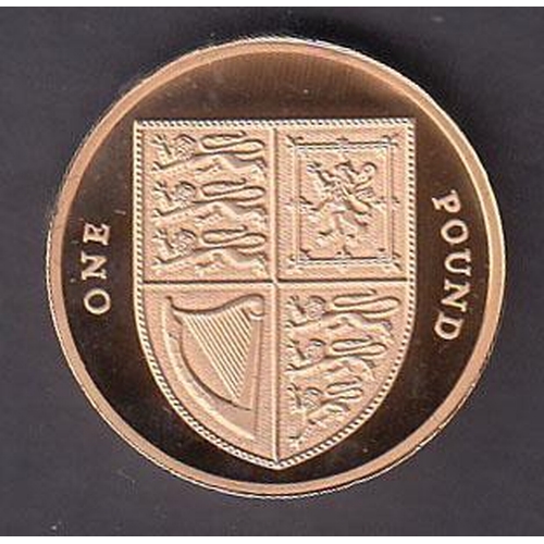 48 - UK 2009 gold proof £1 coin, boxed with CoA