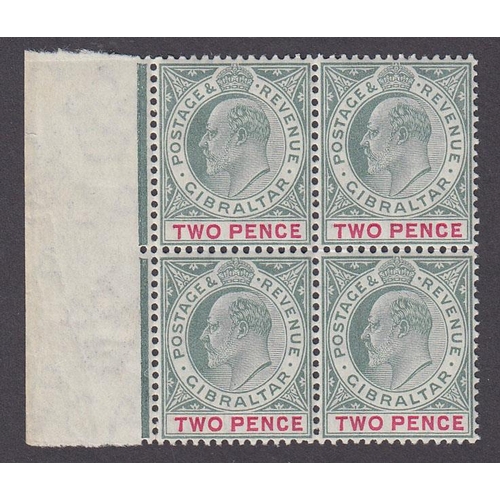 Lot 446       