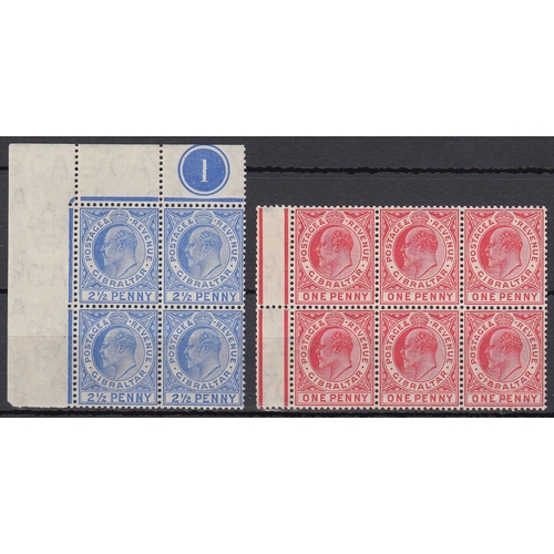 Lot 448       