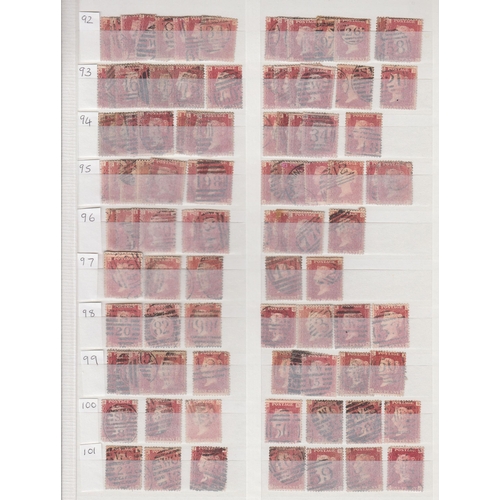 Lot 524       