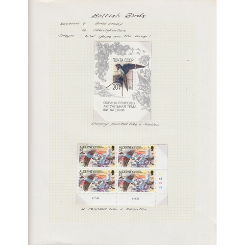 315 - A collection on Birds & Butterflies written up on album pages, entitled British Birds and Butterflie... 