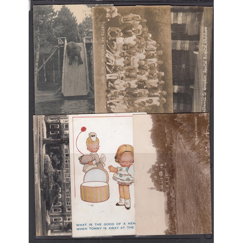 445 - A World postcard in six volumes and loose, mainly early mid-20th Century cards, including many Real ... 