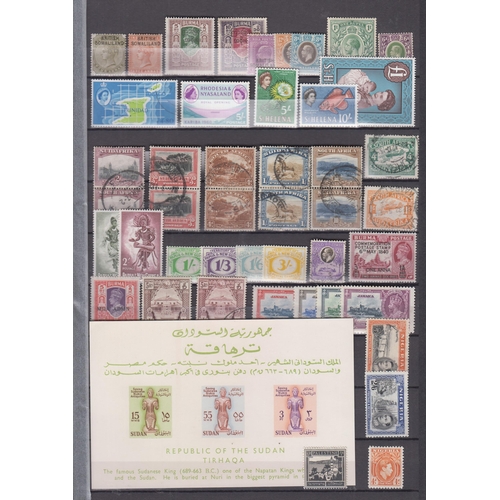 295 - A mint and used collection of British Commonwealth stamps housed mostly on album pages in box with n... 