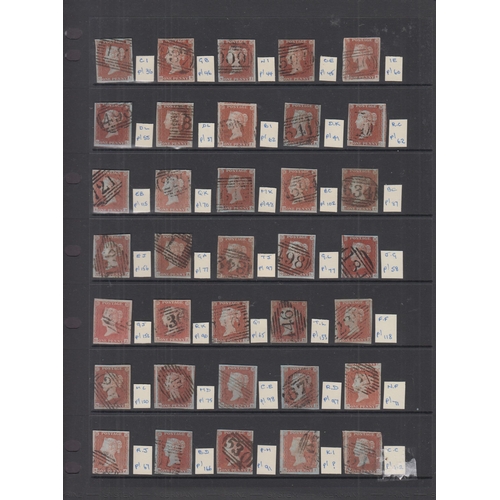 704 - A collection of 35x QV imperforated Penny Reds on stock sheet, all identified by plates and letterin... 