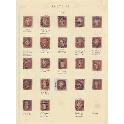 319 - A duplicated accumulation of GB stamp issues, in 8 albums/binders and loose, mainly Line Engraved in... 