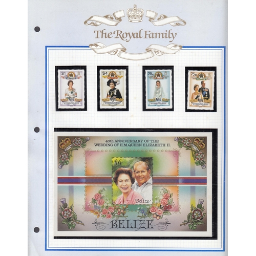 219 - A large collection of modern Royal Event issues on hundreds of pages, including Booklets, Stamps, mi... 