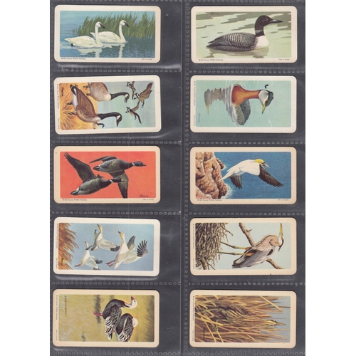 394 - A x2 volume collection of Canadian Brooke Bond sets and part sets, noted Animals of North America se... 