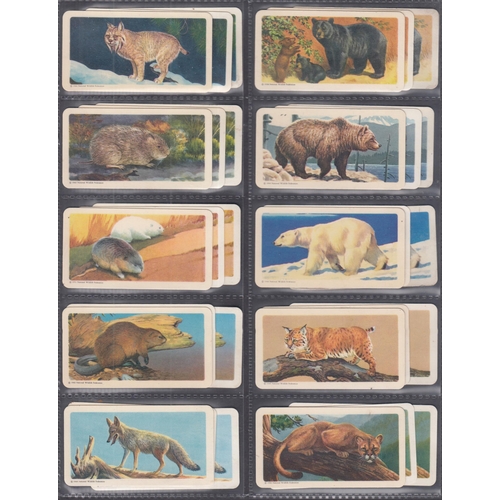 394 - A x2 volume collection of Canadian Brooke Bond sets and part sets, noted Animals of North America se... 