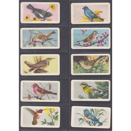 394 - A x2 volume collection of Canadian Brooke Bond sets and part sets, noted Animals of North America se... 