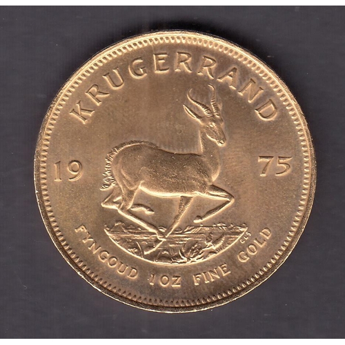 197 - South Africa 1975 gold Krugerrand, in good condition