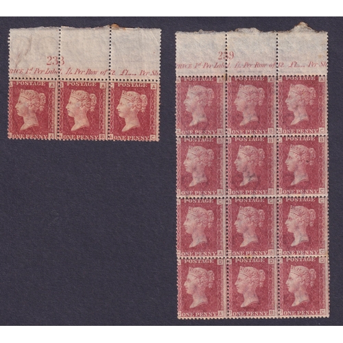 841 - 1864 1d red pl 202 in upper marginal block of 12 with inscription, also pl 196 in upper marginal str... 