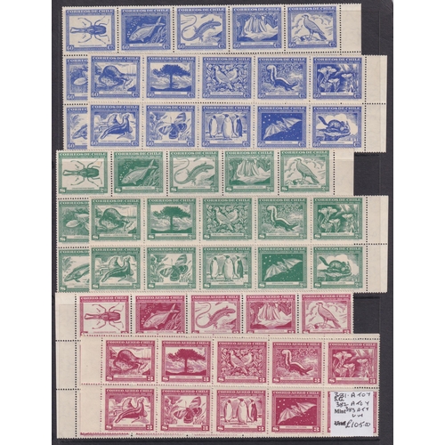 404 - Birds collection neatly presented on stock sheets in 8 binders, arranged (roughly) alphabetically, w... 