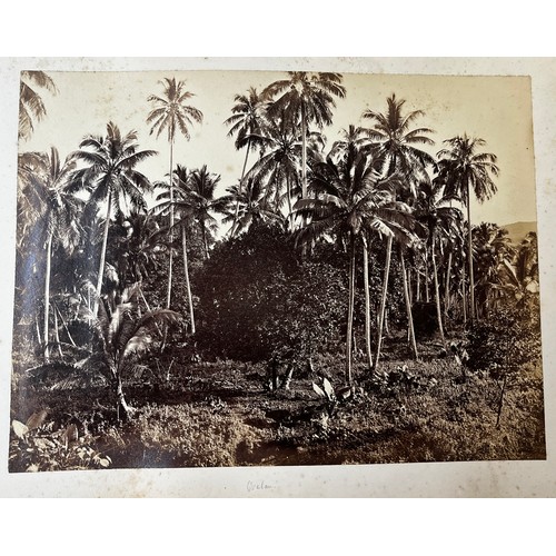 411 - A fascinating Collection of 22 19th Century Photographs of Fiji depicting Life and scenes from Kasav... 