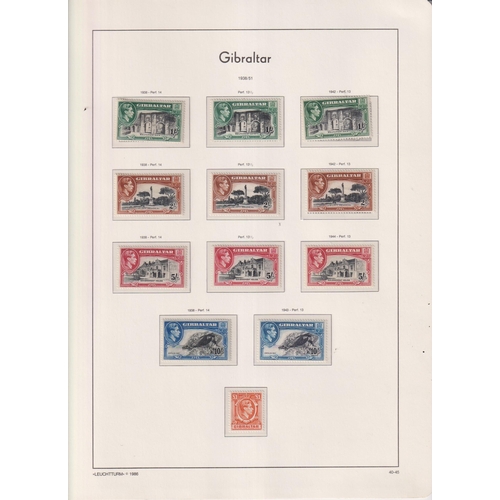 Lot 737       
