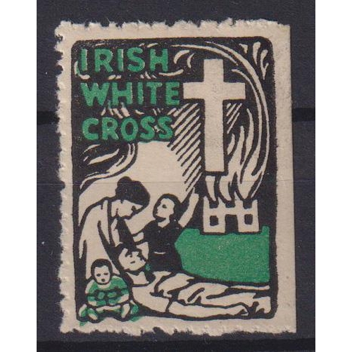 Lot 955       