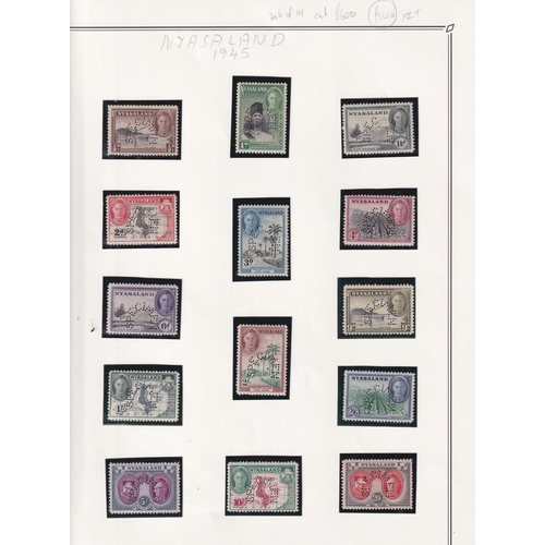 Lot 1006      
