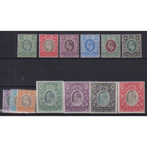 Lot 1031      