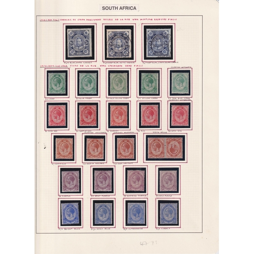 Lot 1034      
