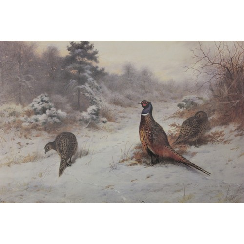 231 - After Archibald Thorburn - 