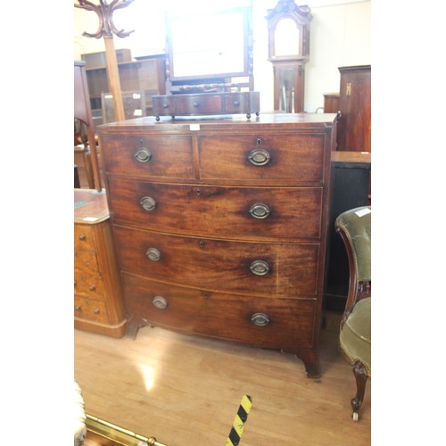 240 - A Regency mahogany bow fronted chest of two short and three long drawers, with oval plate handles, o... 