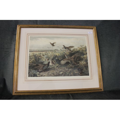 314 - After Archibald Thorburn- Startled grouse taking off, limited edition lithograph, a pair, each 38cm ... 