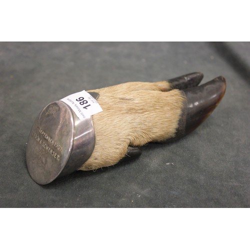 186 - A hunting trophy paper weight of deer foot form, with silver-plated mount inscribed 